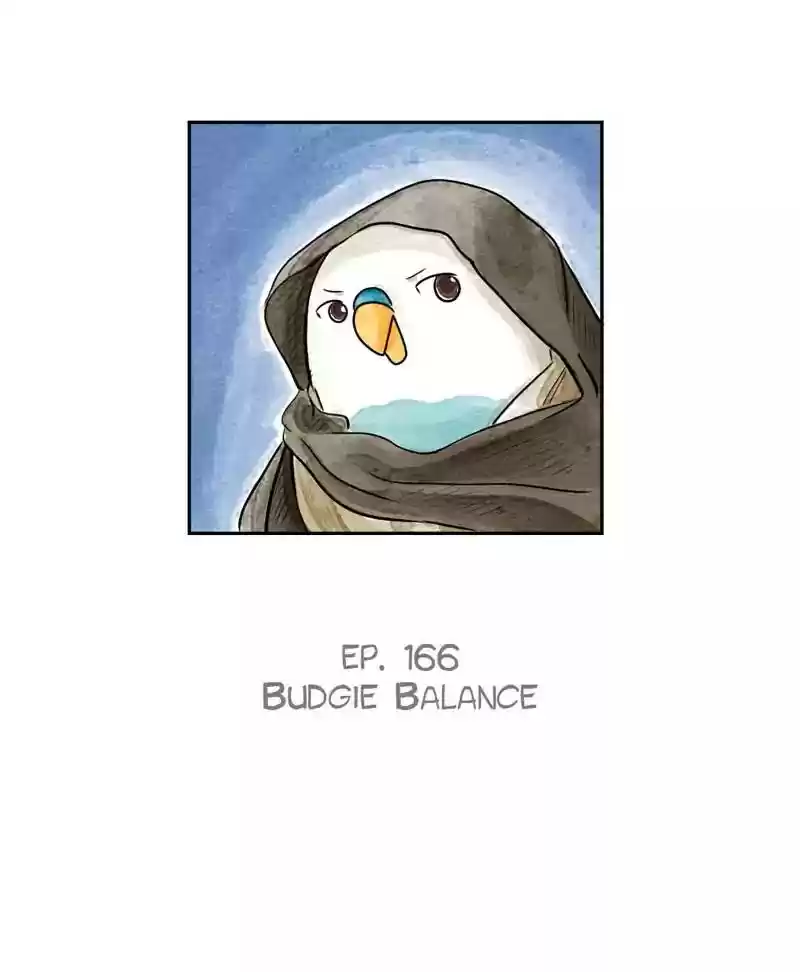 A Budgie's Life Chapter 167: Ep.166: