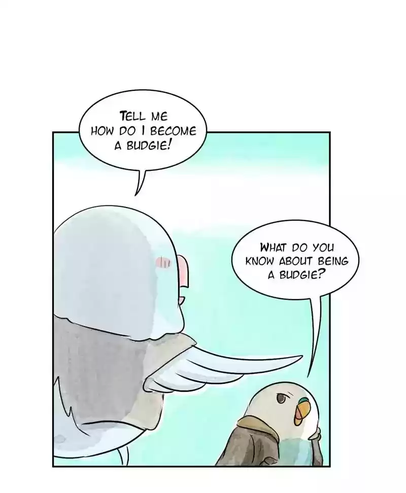 A Budgie's Life Chapter 167: Ep.166: