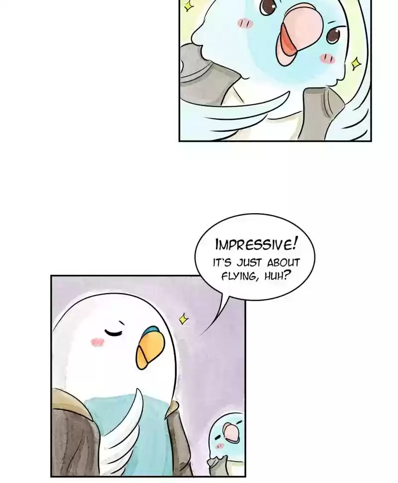 A Budgie's Life Chapter 167: Ep.166: