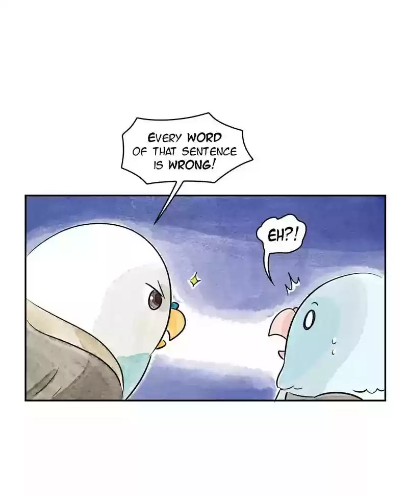 A Budgie's Life Chapter 167: Ep.166: