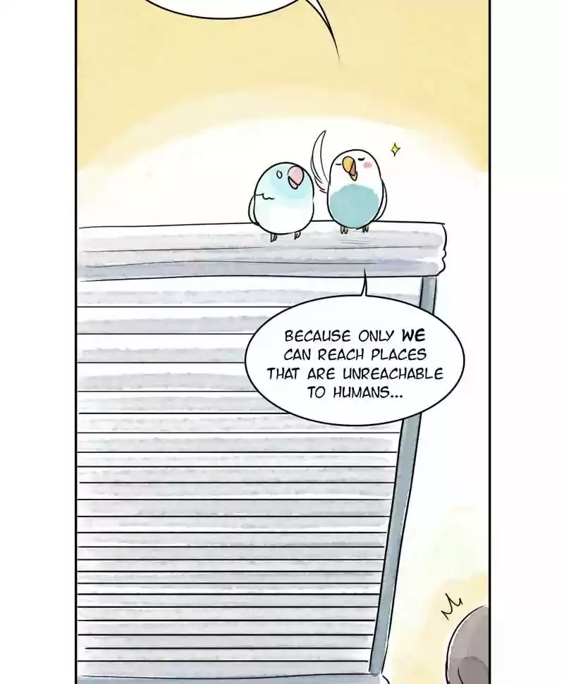 A Budgie's Life Chapter 167: Ep.166: