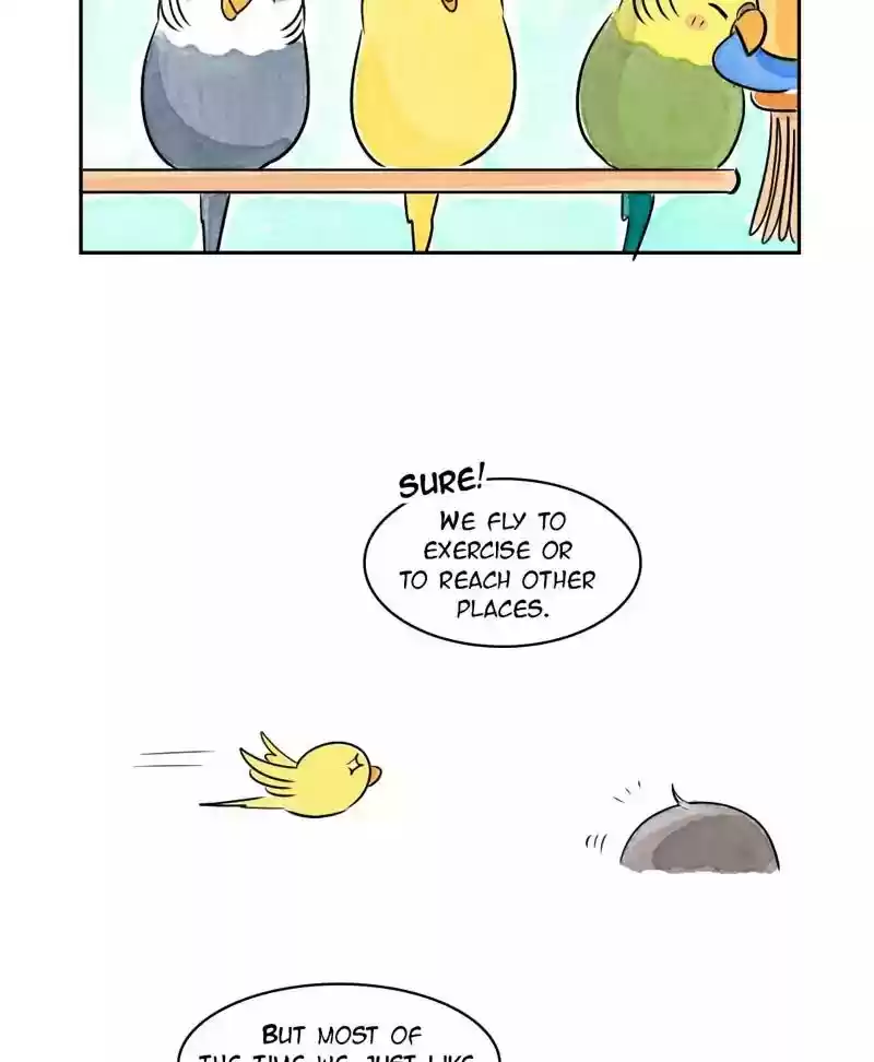 A Budgie's Life Chapter 167: Ep.166: