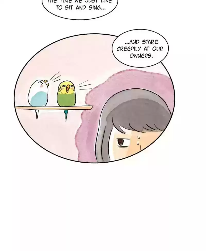 A Budgie's Life Chapter 167: Ep.166:
