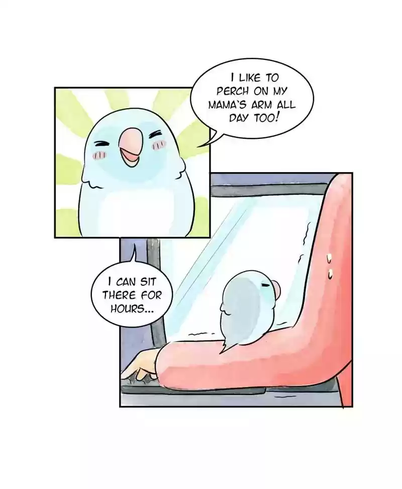 A Budgie's Life Chapter 167: Ep.166: