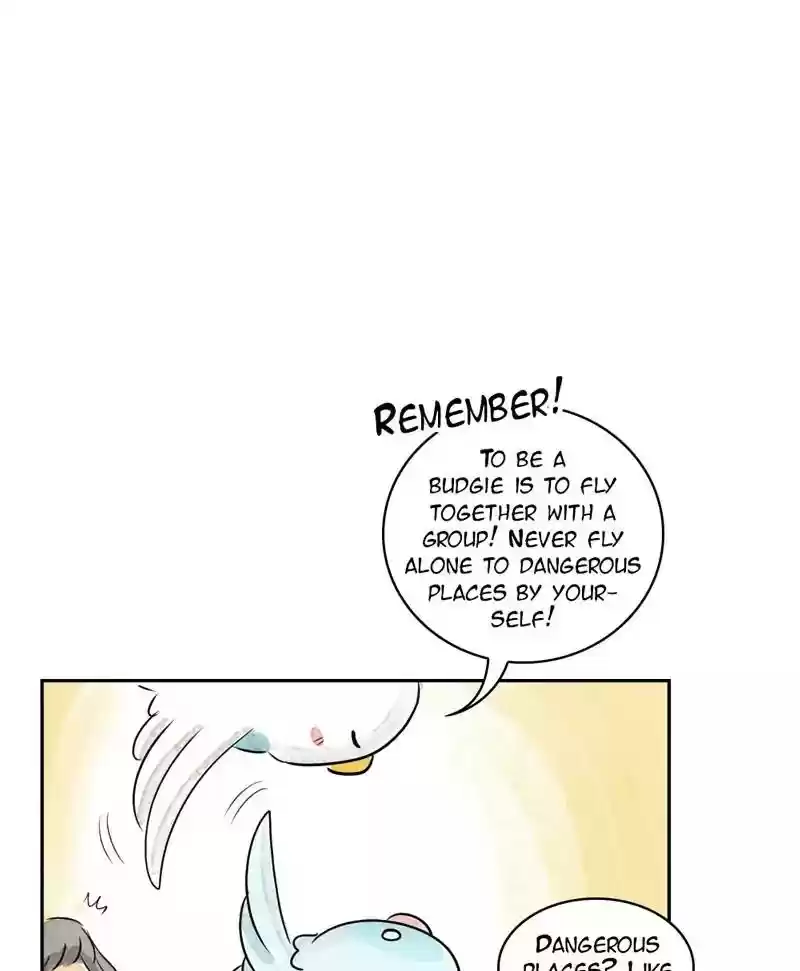 A Budgie's Life Chapter 167: Ep.166: