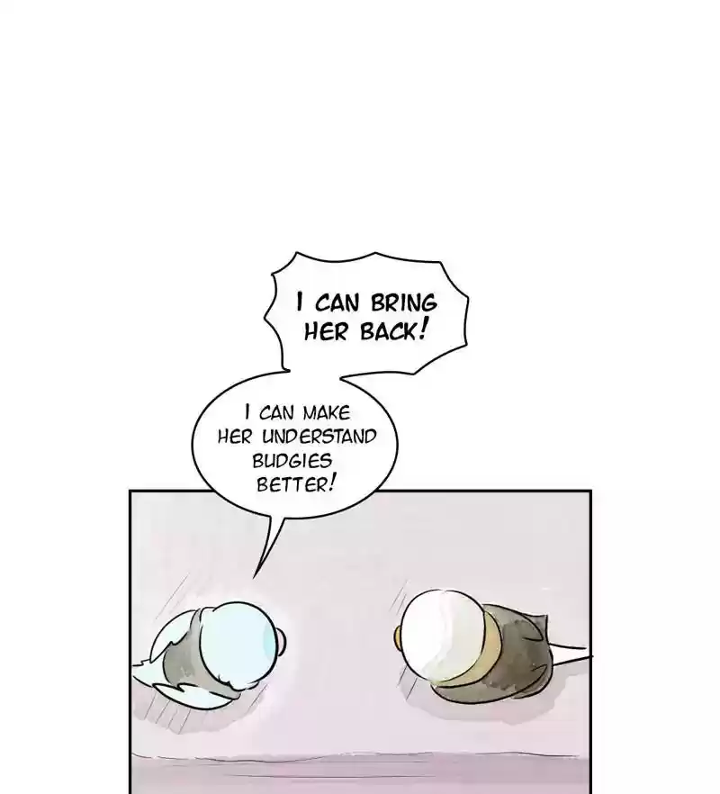 A Budgie's Life Chapter 167: Ep.166: