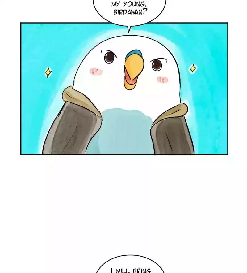 A Budgie's Life Chapter 167: Ep.166: