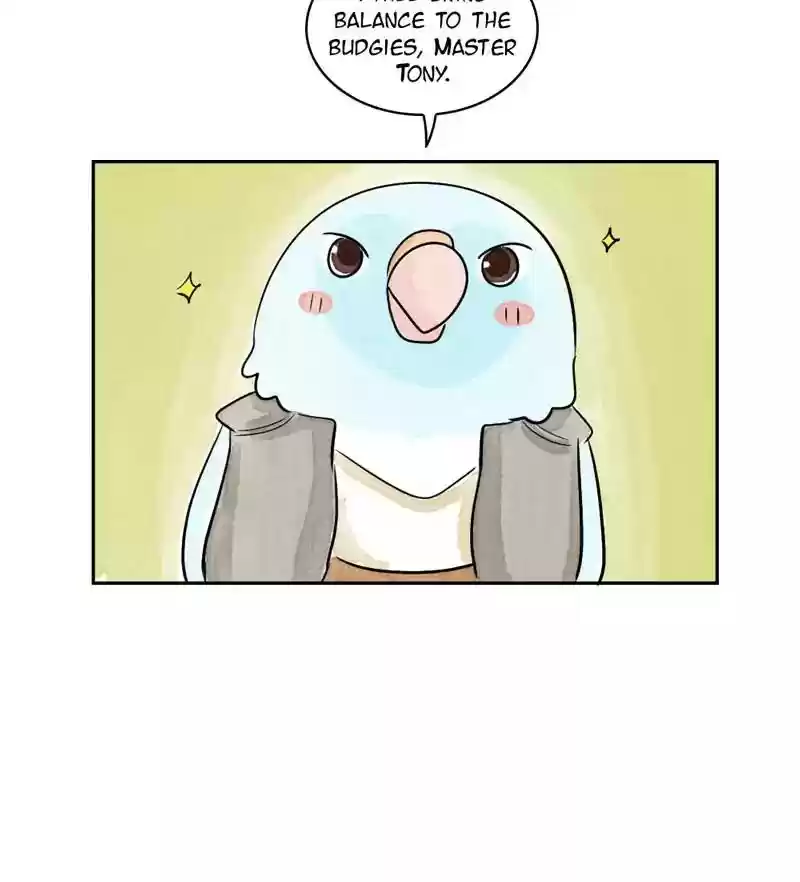 A Budgie's Life Chapter 167: Ep.166: