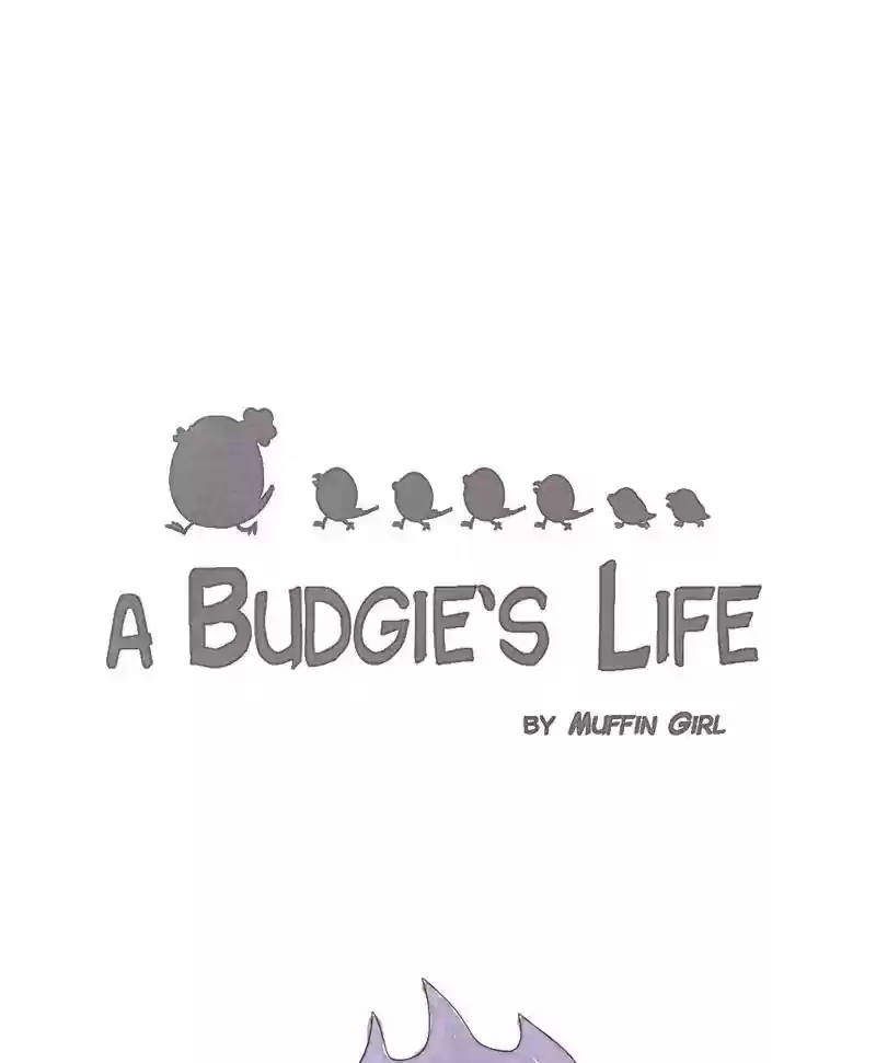 A Budgie's Life Chapter 168: Ep.167: