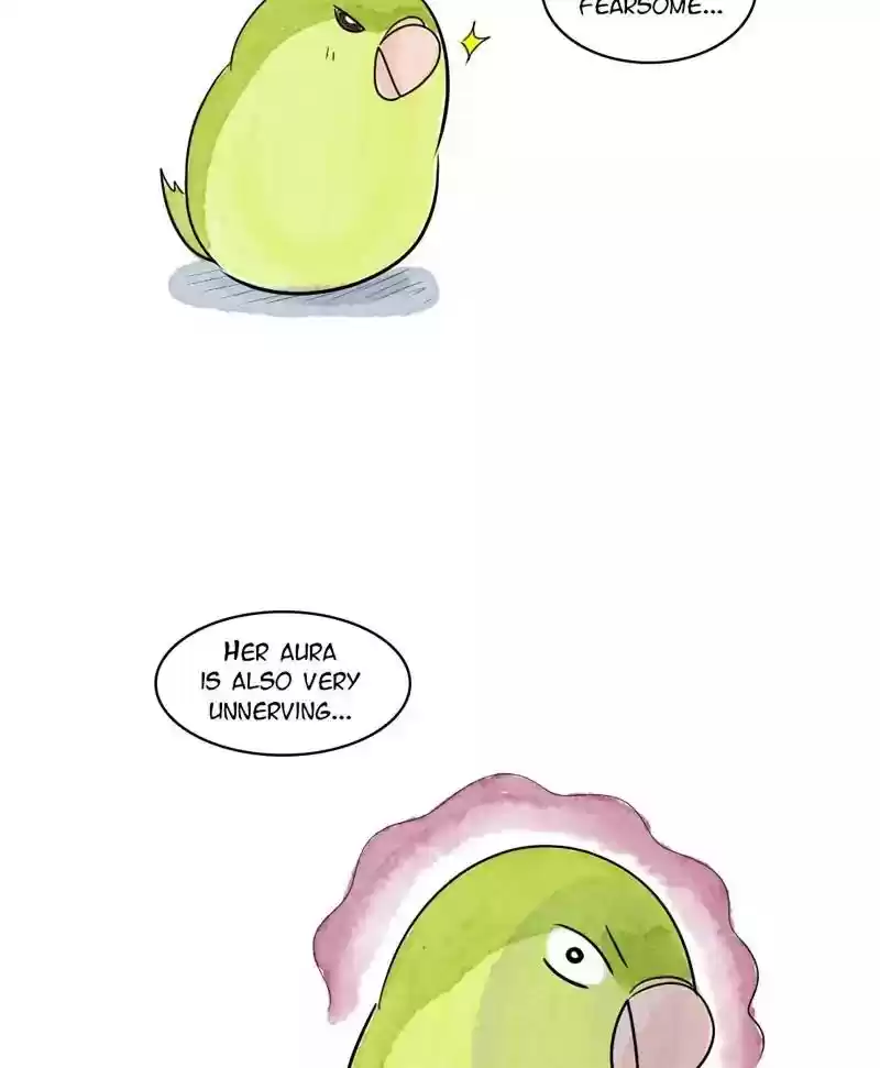 A Budgie's Life Chapter 168: Ep.167: