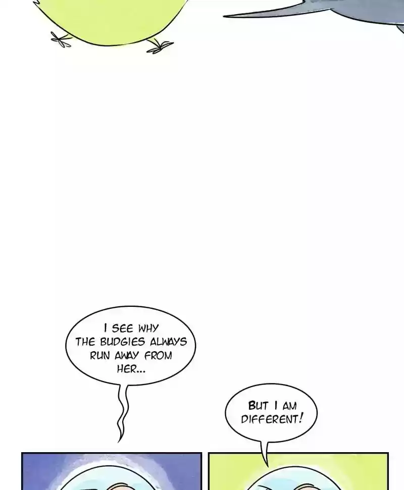 A Budgie's Life Chapter 168: Ep.167: