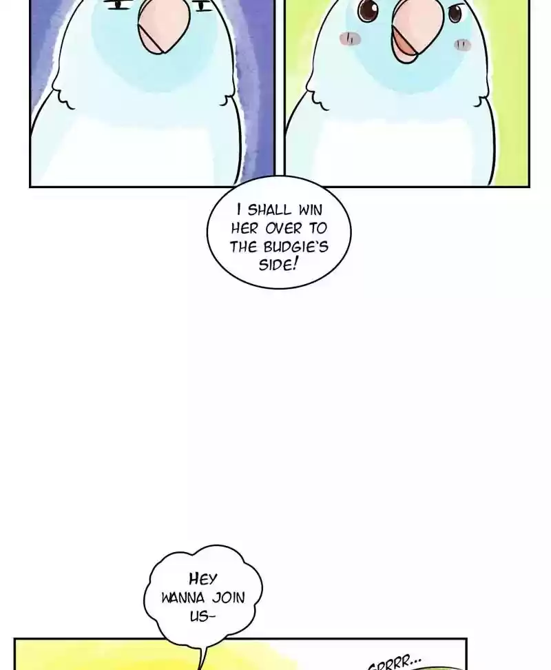 A Budgie's Life Chapter 168: Ep.167: