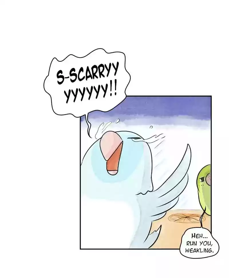 A Budgie's Life Chapter 168: Ep.167: