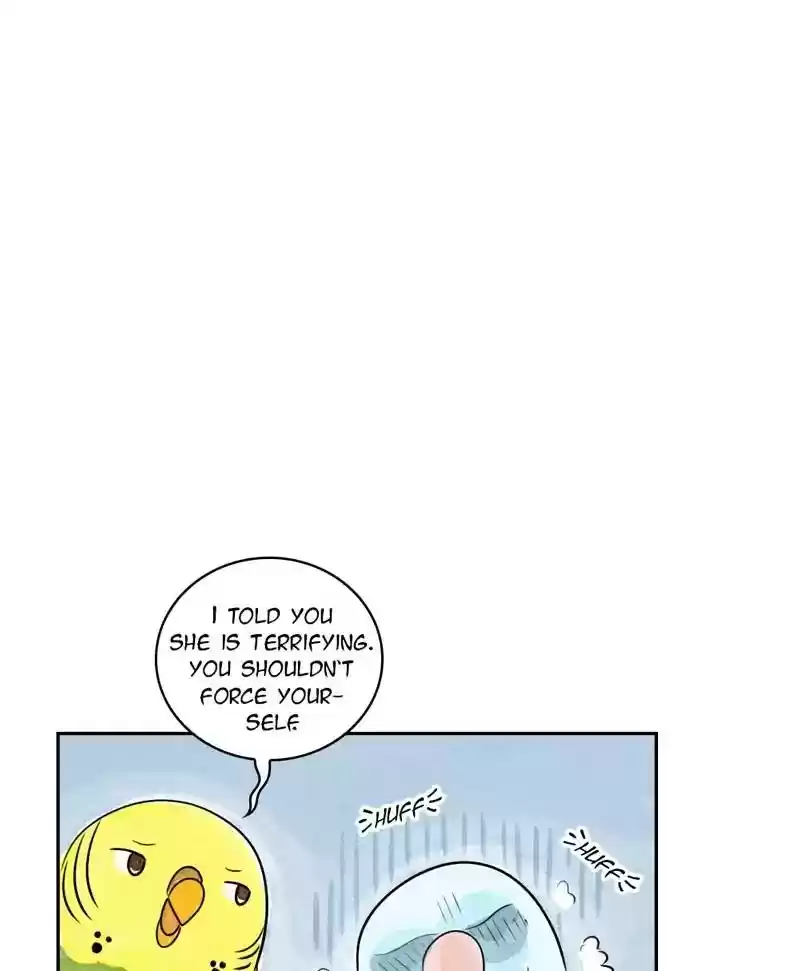 A Budgie's Life Chapter 168: Ep.167: