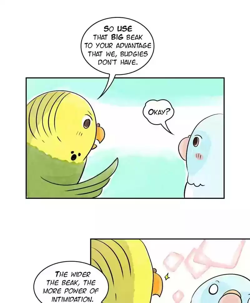 A Budgie's Life Chapter 168: Ep.167: