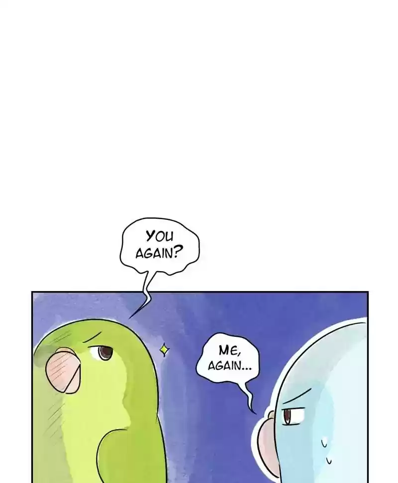 A Budgie's Life Chapter 168: Ep.167: