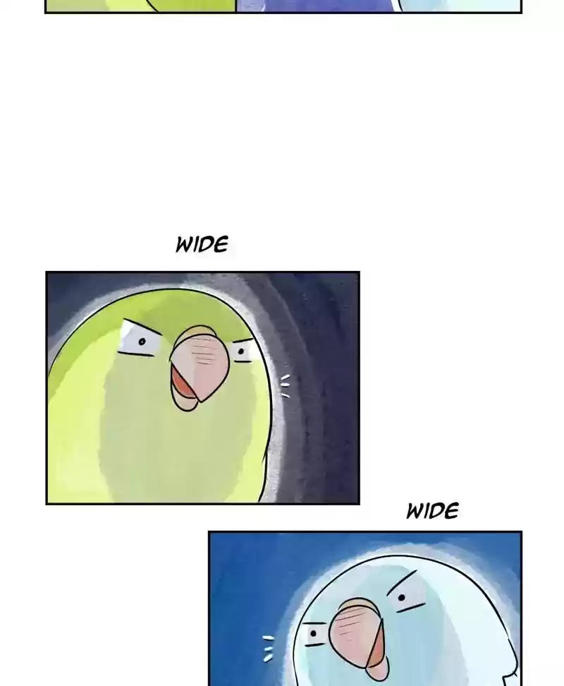 A Budgie's Life Chapter 168: Ep.167: