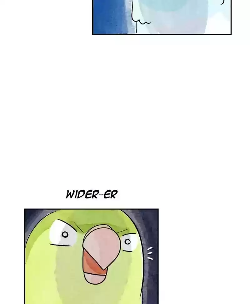 A Budgie's Life Chapter 168: Ep.167: