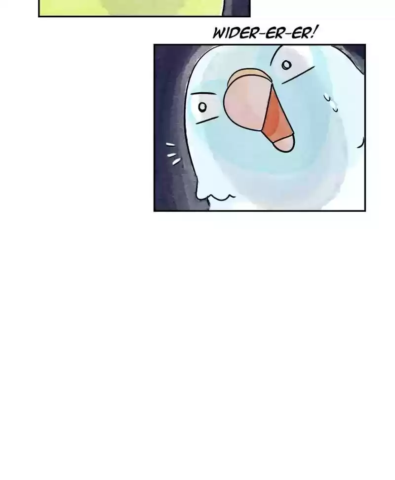 A Budgie's Life Chapter 168: Ep.167: