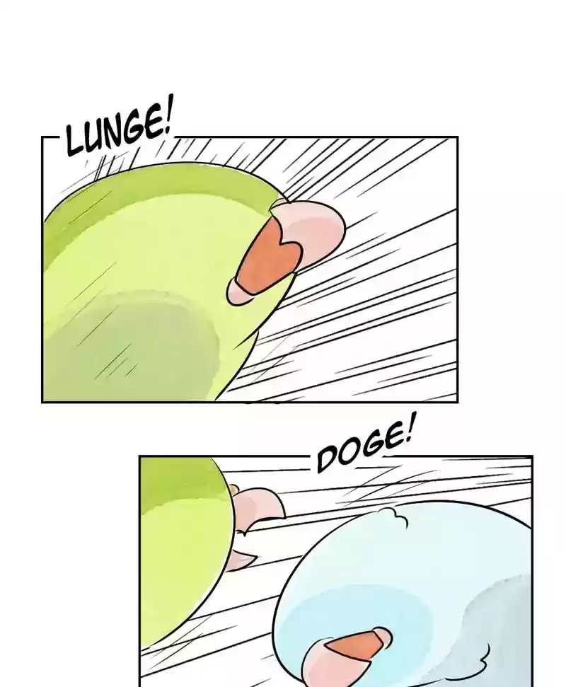A Budgie's Life Chapter 168: Ep.167: