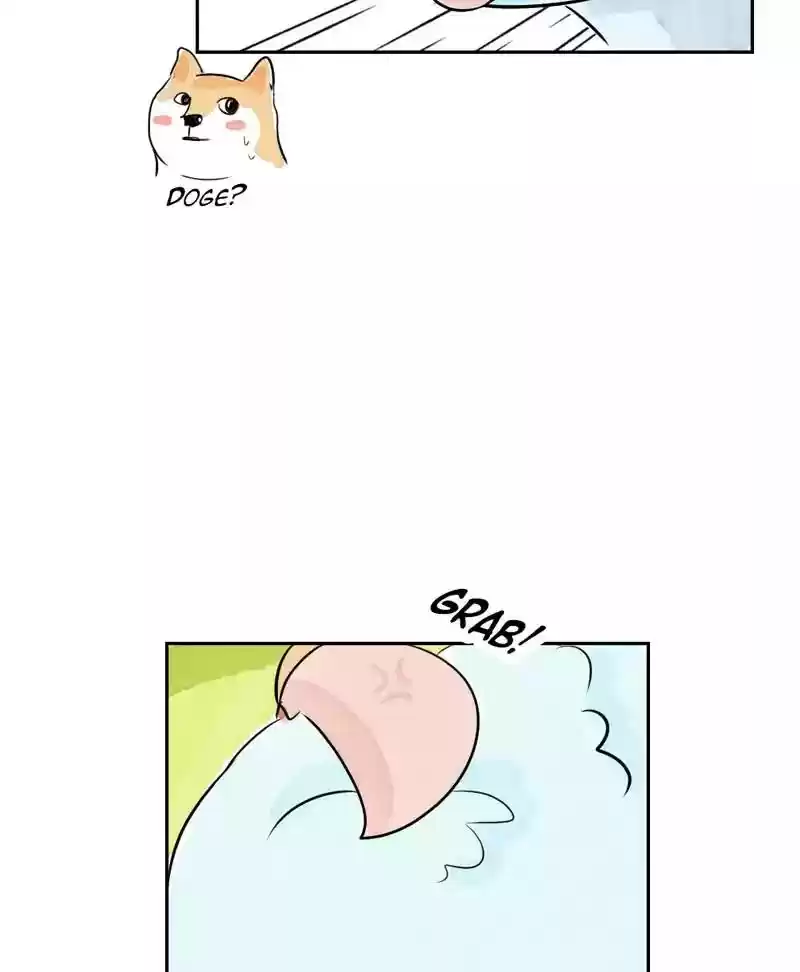 A Budgie's Life Chapter 168: Ep.167: