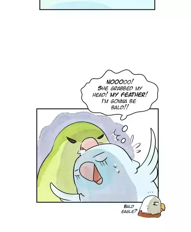 A Budgie's Life Chapter 168: Ep.167: