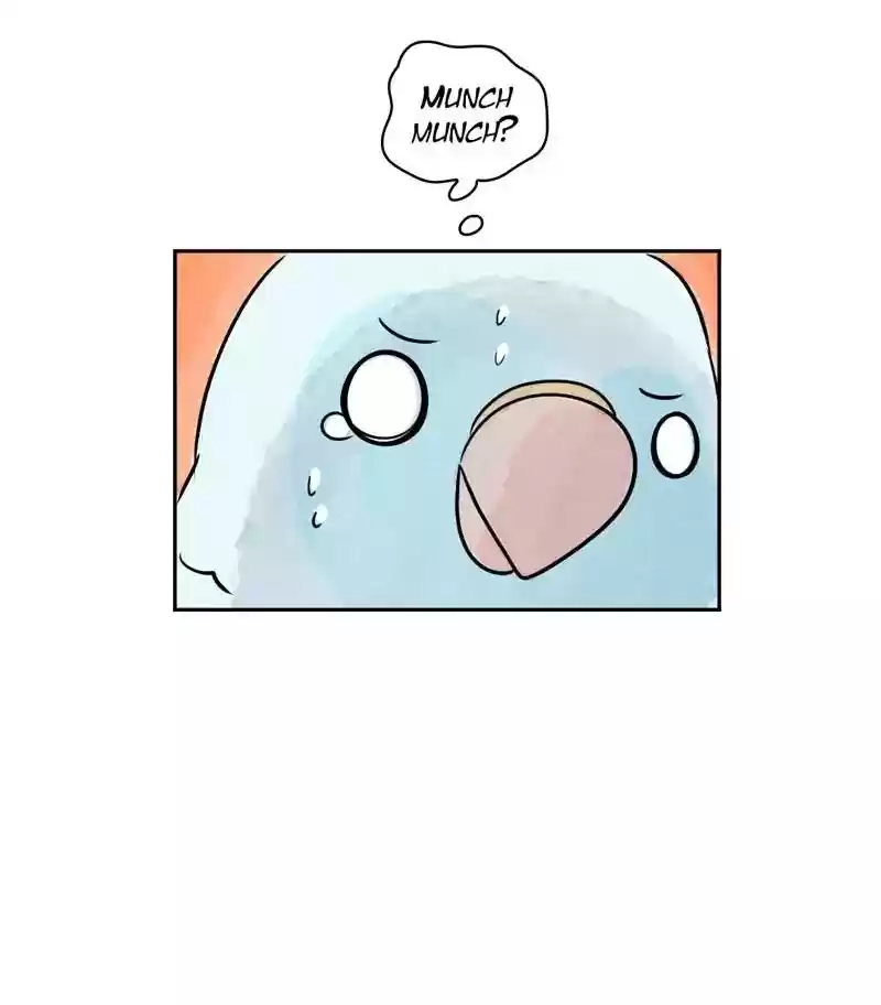 A Budgie's Life Chapter 168: Ep.167: