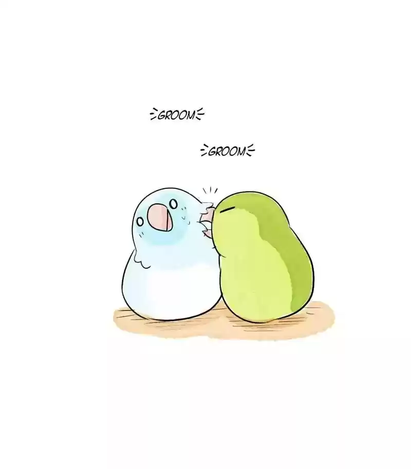 A Budgie's Life Chapter 168: Ep.167: