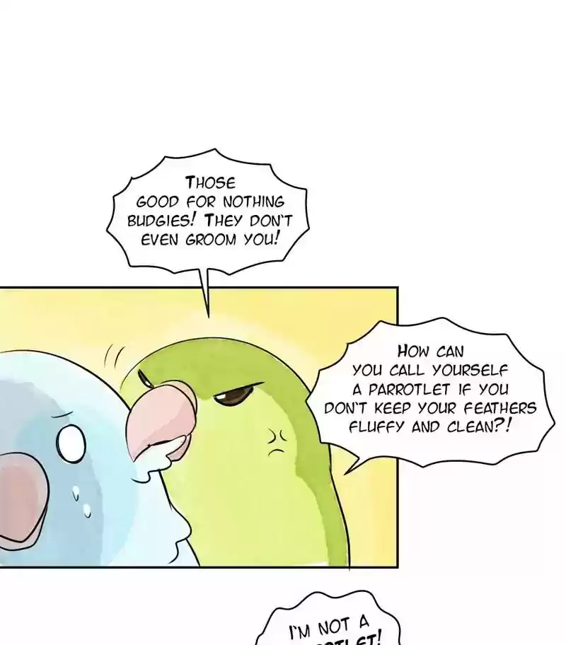A Budgie's Life Chapter 168: Ep.167: