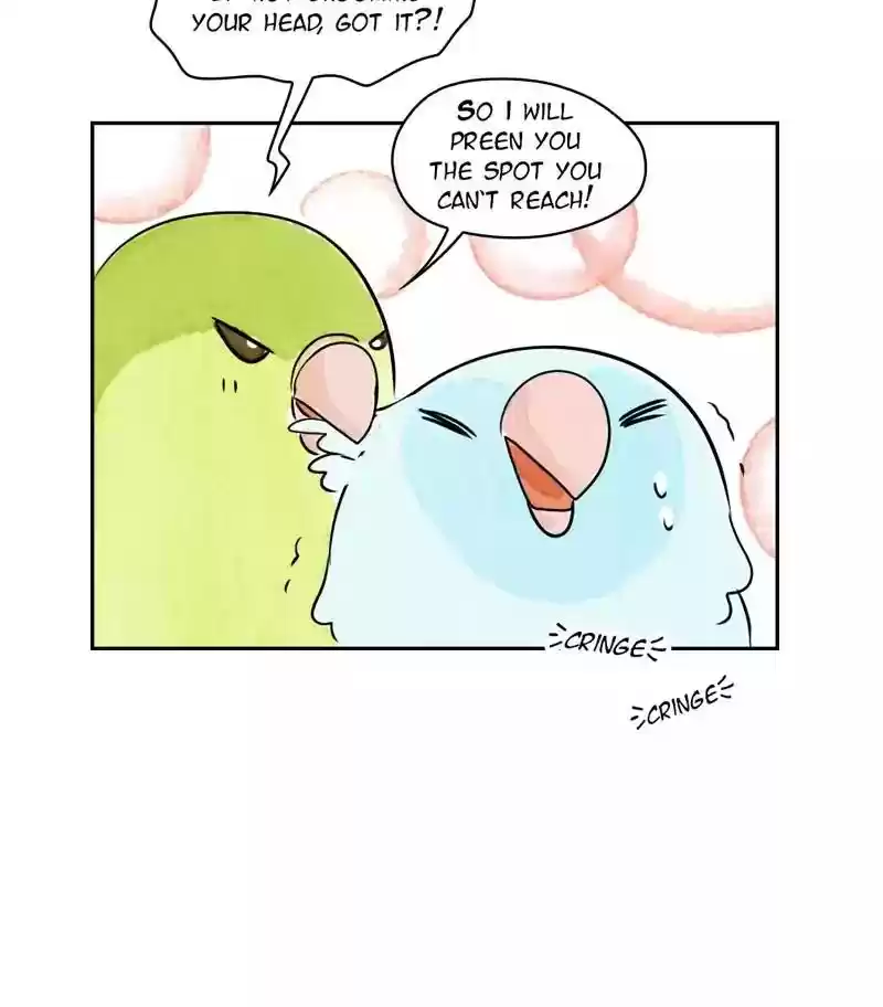 A Budgie's Life Chapter 168: Ep.167: