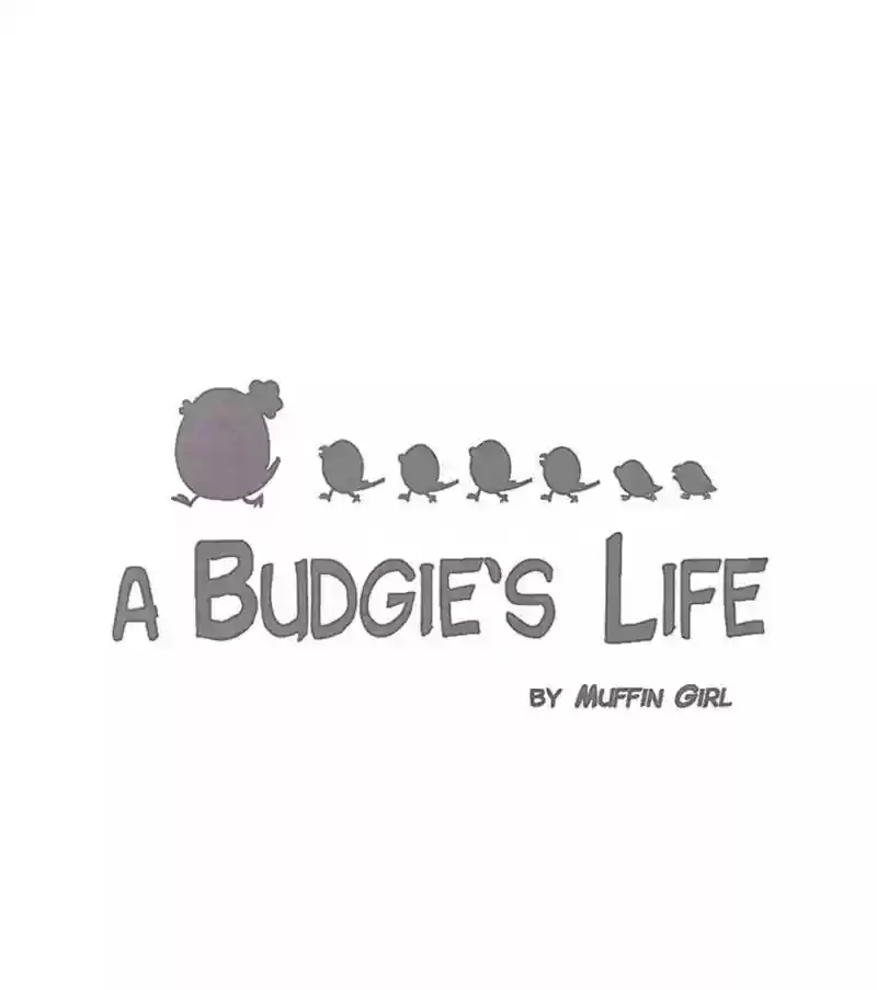 A Budgie's Life Chapter 169: Ep.168: