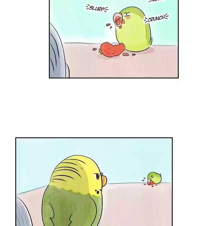 A Budgie's Life Chapter 169: Ep.168: