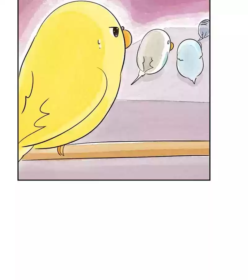 A Budgie's Life Chapter 169: Ep.168: