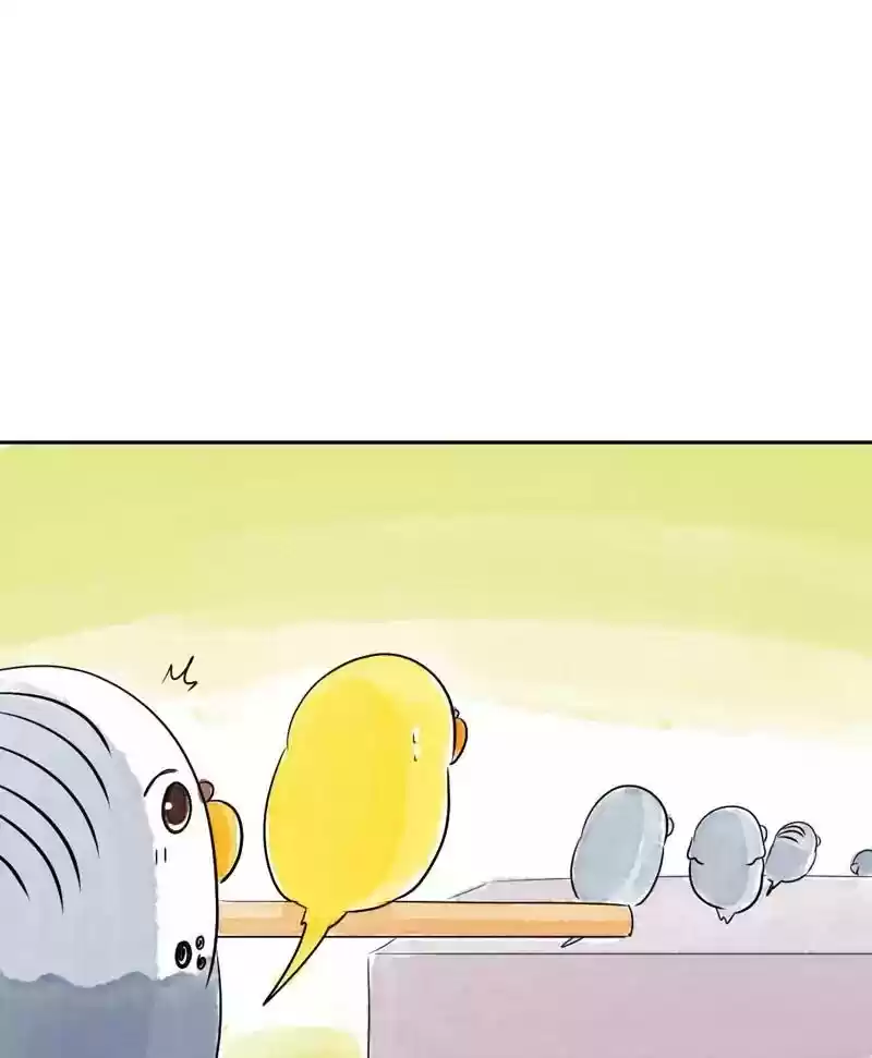A Budgie's Life Chapter 169: Ep.168: