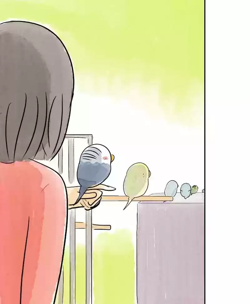 A Budgie's Life Chapter 169: Ep.168: