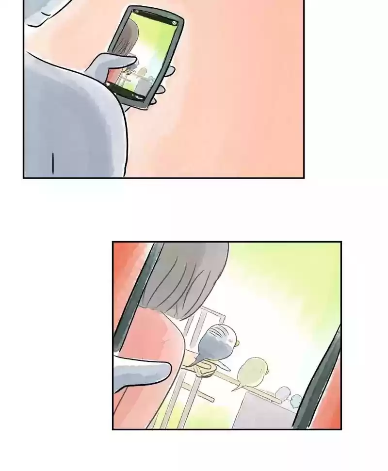 A Budgie's Life Chapter 169: Ep.168: