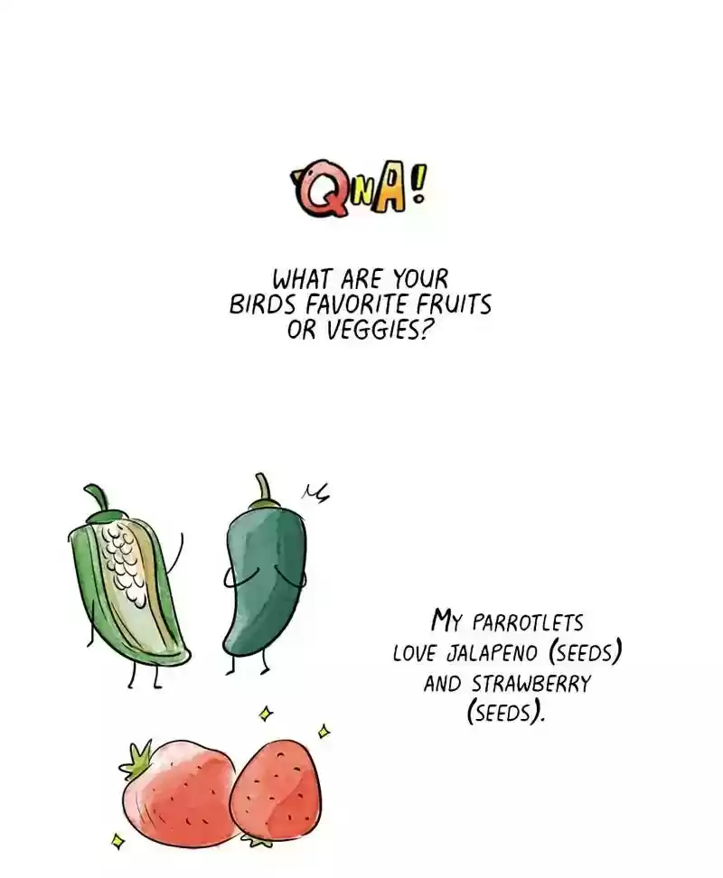 A Budgie's Life Chapter 169: Ep.168: