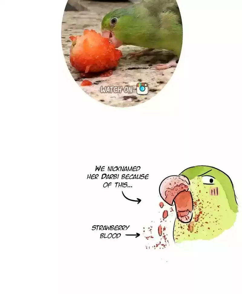 A Budgie's Life Chapter 169: Ep.168: