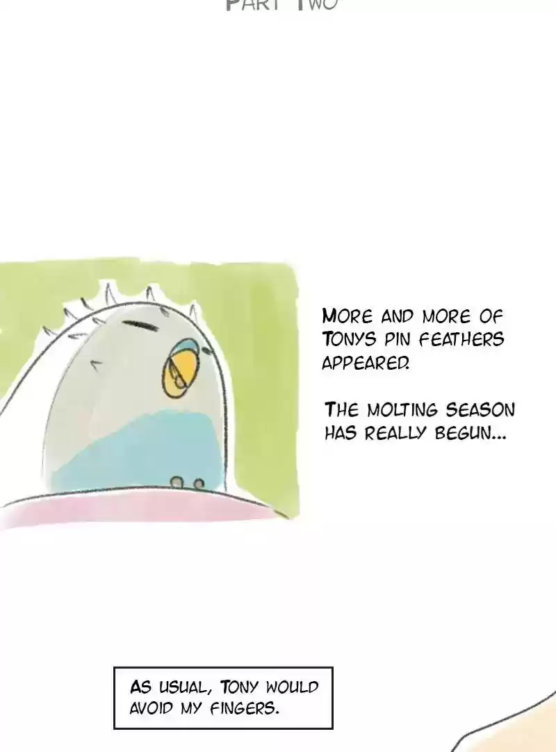 A Budgie's Life Chapter 17: Ep.17: