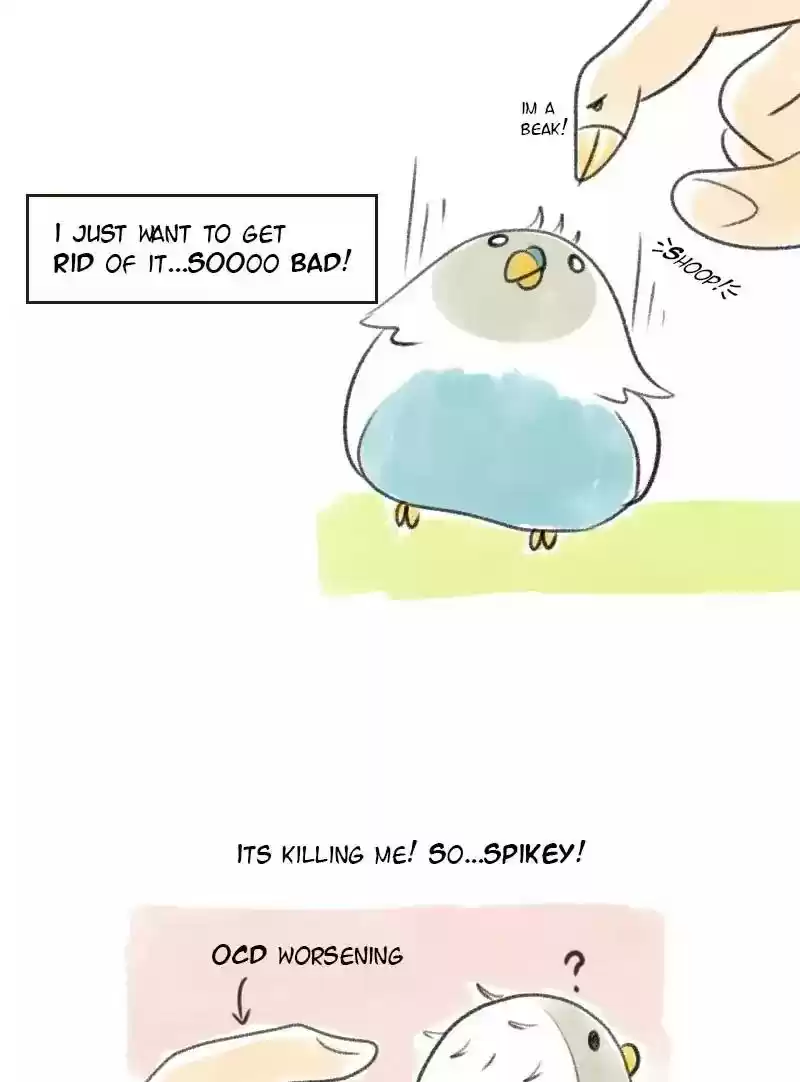 A Budgie's Life Chapter 17: Ep.17: