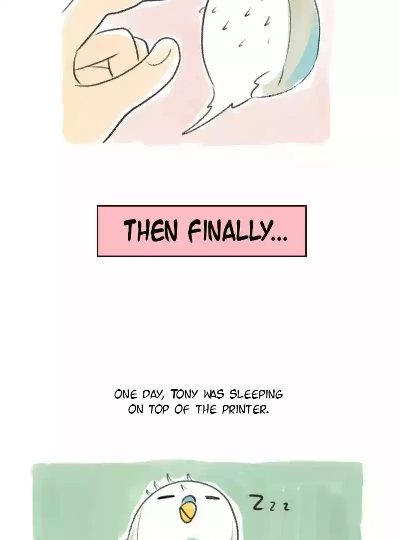 A Budgie's Life Chapter 17: Ep.17: