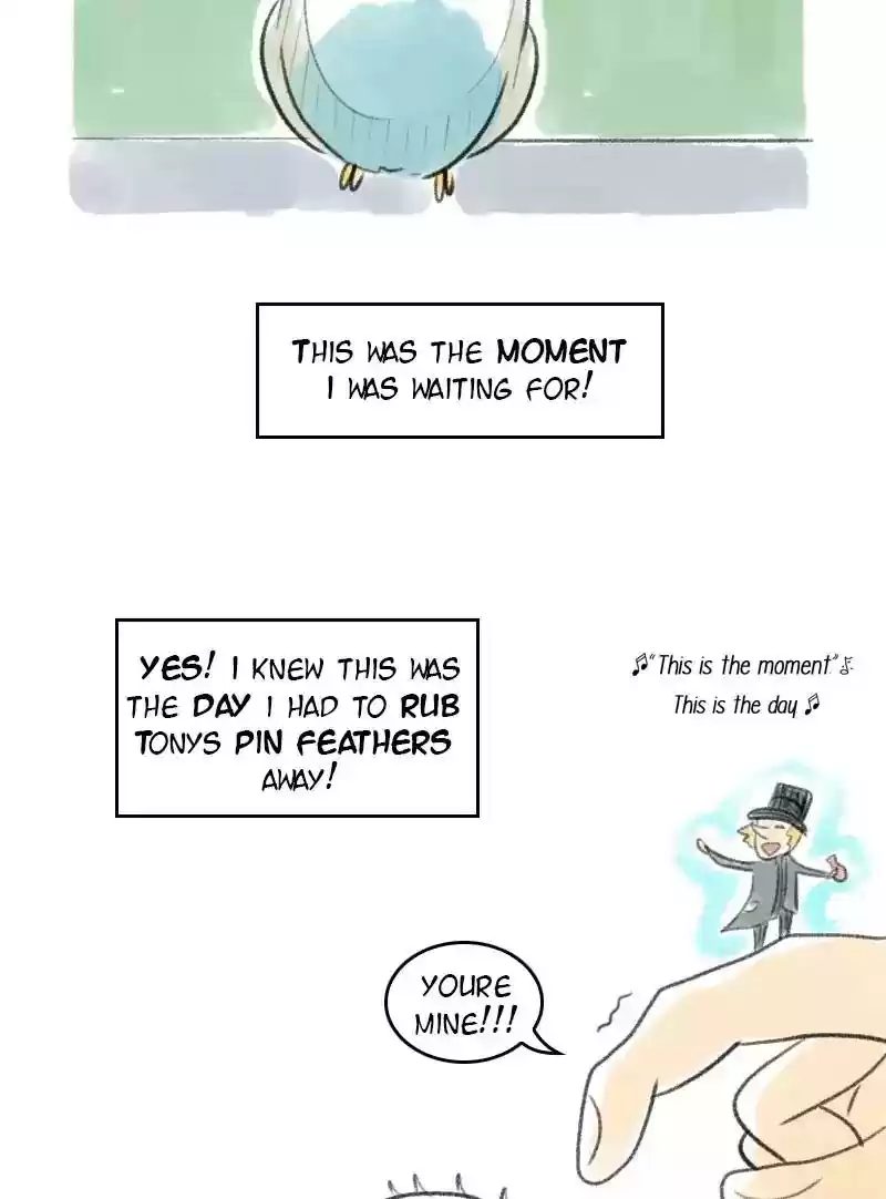 A Budgie's Life Chapter 17: Ep.17: