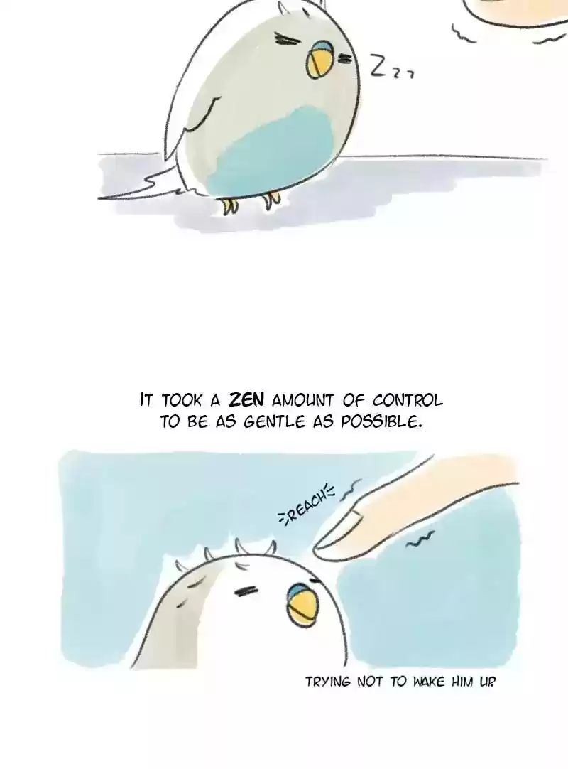 A Budgie's Life Chapter 17: Ep.17: