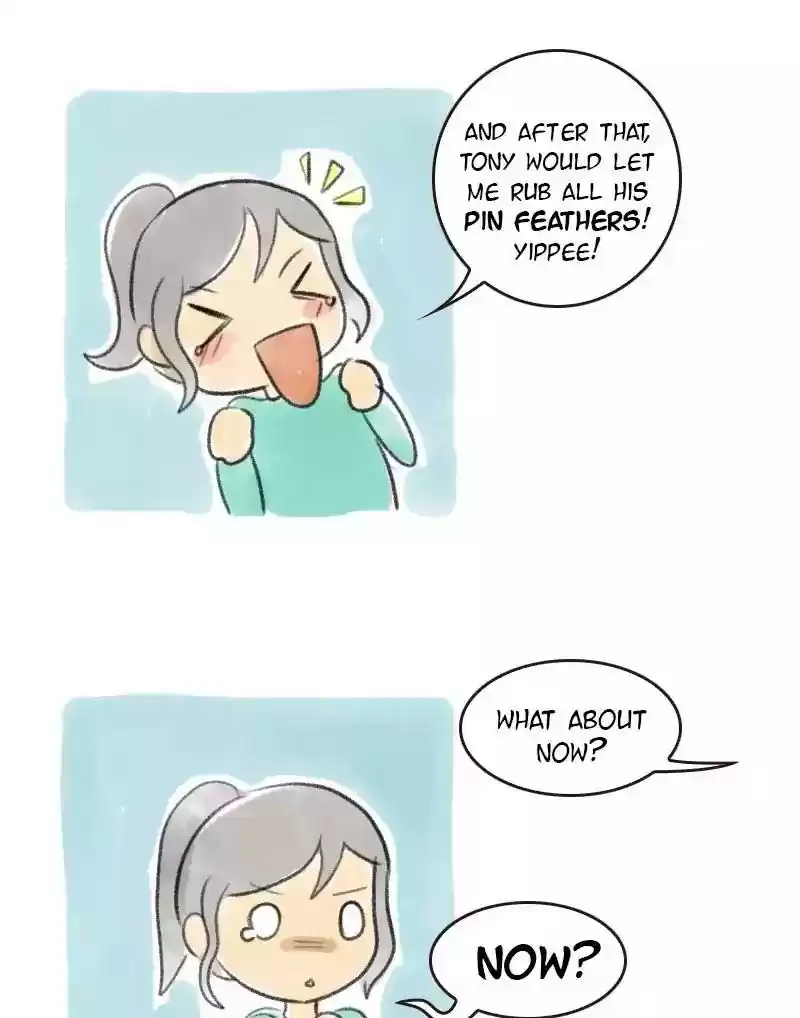 A Budgie's Life Chapter 17: Ep.17: