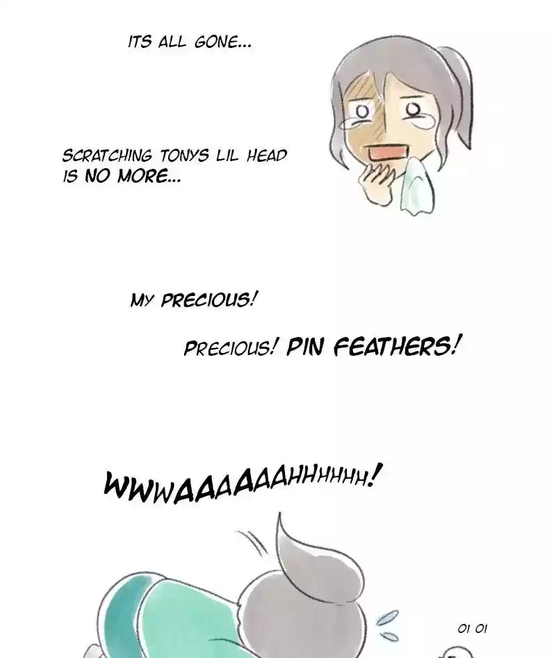 A Budgie's Life Chapter 17: Ep.17: