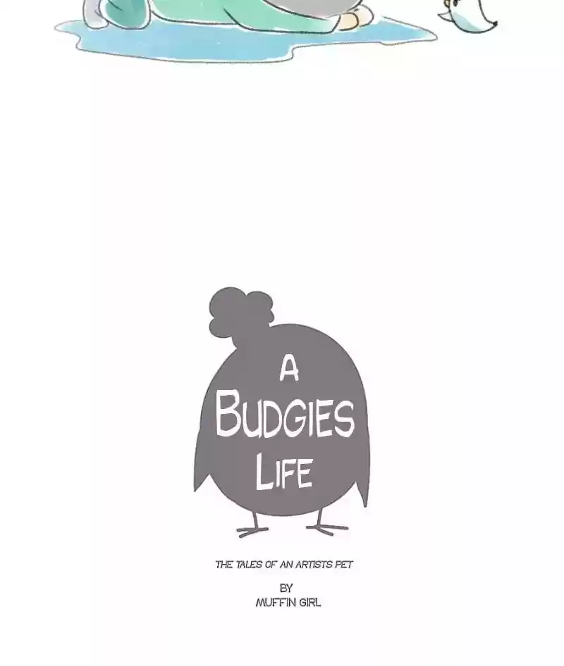 A Budgie's Life Chapter 17: Ep.17: