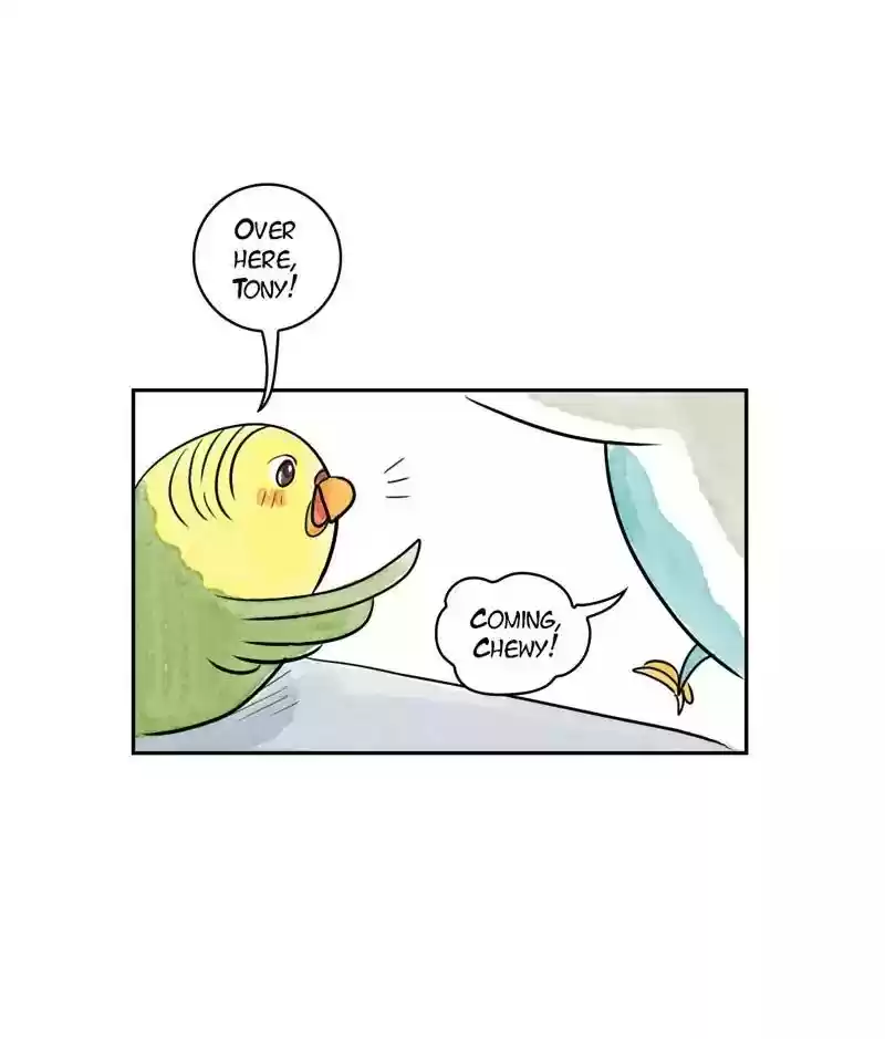 A Budgie's Life Chapter 170: Ep.169: