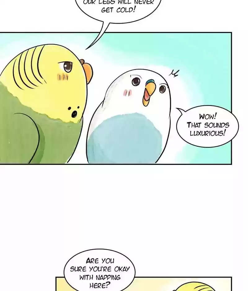 A Budgie's Life Chapter 170: Ep.169:
