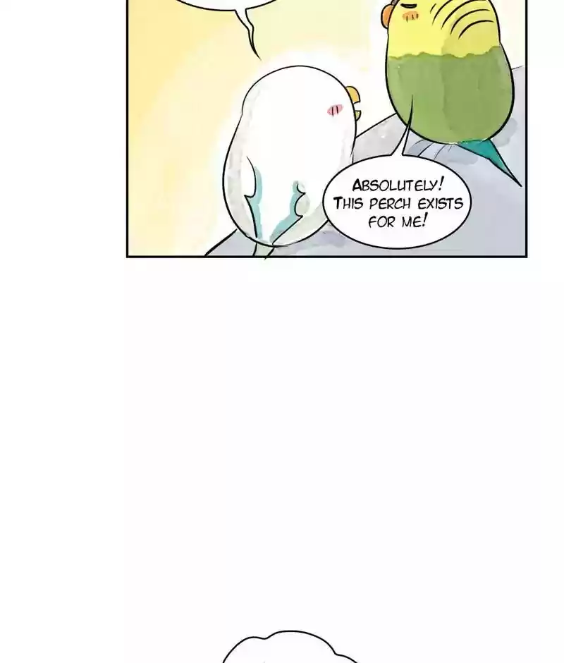 A Budgie's Life Chapter 170: Ep.169: