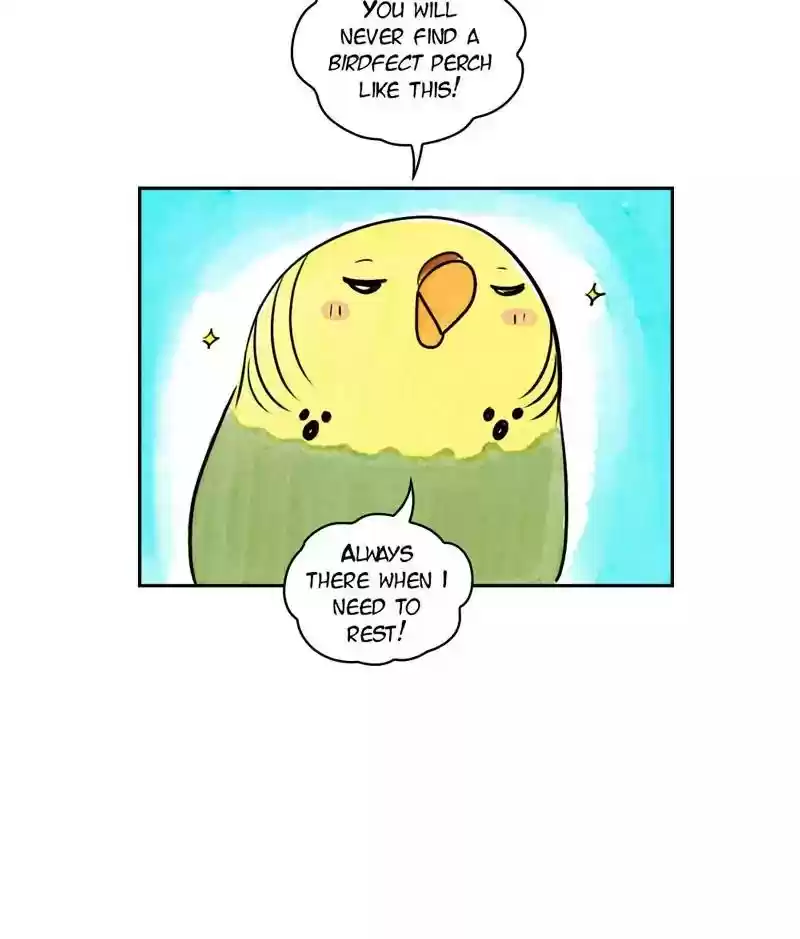 A Budgie's Life Chapter 170: Ep.169:
